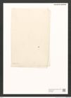 Diatomeae indet. Zeichnungen Sammlung Grunow (NHMW-BOT-W0370828)